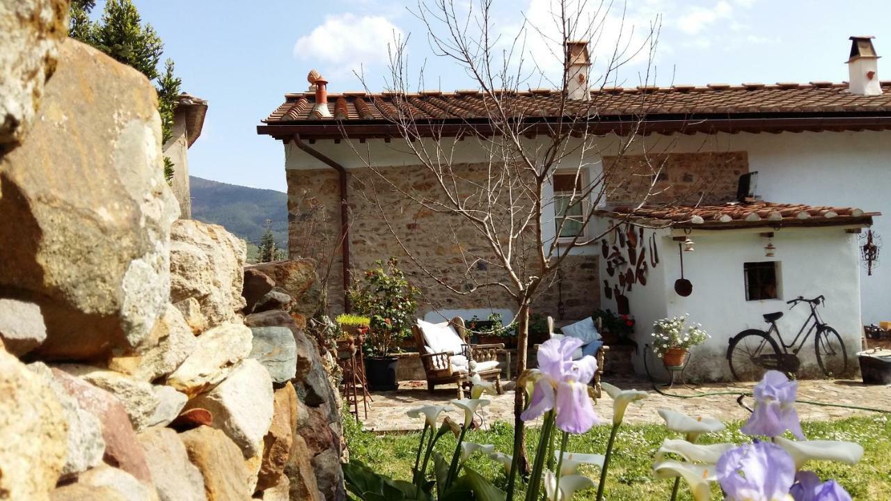 Il Colle Calci Villa Bagian luar foto